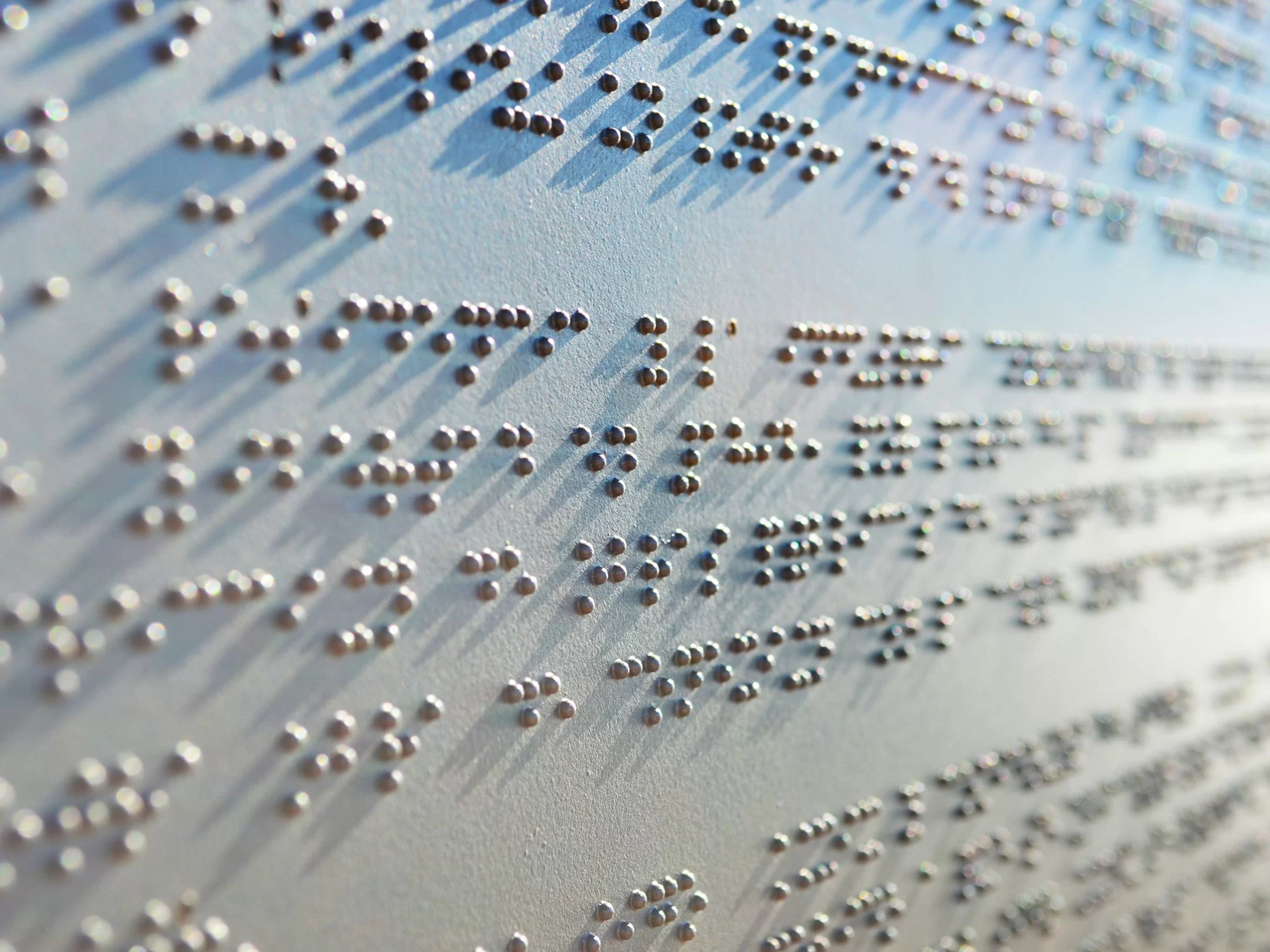 Braille Signs Disability Support Guide